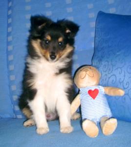 Tom der Liebe